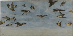 Un mochuelo y multitud de pájaros by Frans Snyders