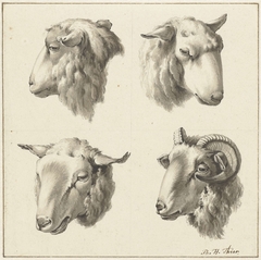 Vier koppen van schapen en bokken by Barend Hendrik Thier