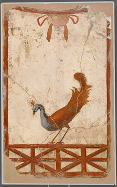 Wall Fragment with a Peacock