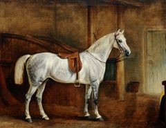 A Saddled Grey Hunter in a Loose Box by John Ferneley