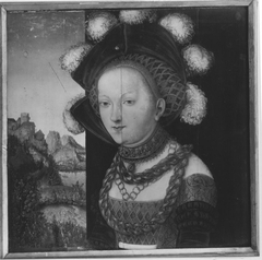 Bildnis einer fürstlich gekleideten jungen Dame (Salome-Fragment) (Werkstatt) by Lucas Cranach the Elder