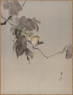 Birds on a Branch by Watanabe Shōtei