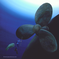 CERVANTES UNDERWATER EPISODE - Save the Manatees (Don Quijote and the Windmills)- by Pascal