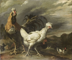 Cock, a Hen and other Poultry