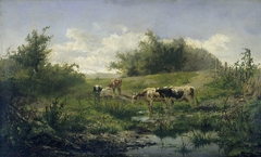 Cows at a Pond