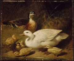 Ducks and Ducklings by John Frederick Herring