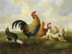 Een haan met hennen en kuikens by Albertus Verhoesen