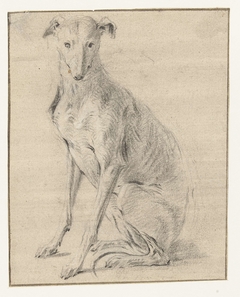 Een zittende hond, naar links, de kop van voren gezien by Frans Snijders
