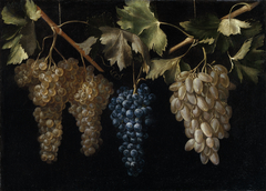 Four Bunches of hanging Grapes by Juan Fernández el Labrador