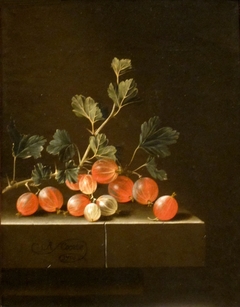 Gooseberries on a Table by Adriaen Coorte