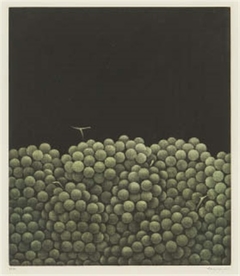 Grapes in darkness by Yozo Hamaguchi