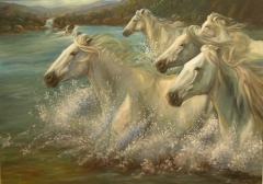 Horses in river