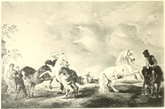 Horses Rearing in an Open Landscape
