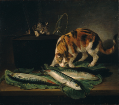 Katzen und Fische