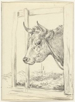 Kop van een koe, in een stal, naar links by Jean Bernard