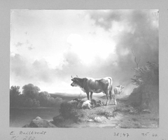 landscape, a cow, a sheep and a goat by Edmund Mahlknecht