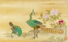 Peacocks and Peony by Kanō Yasunobu