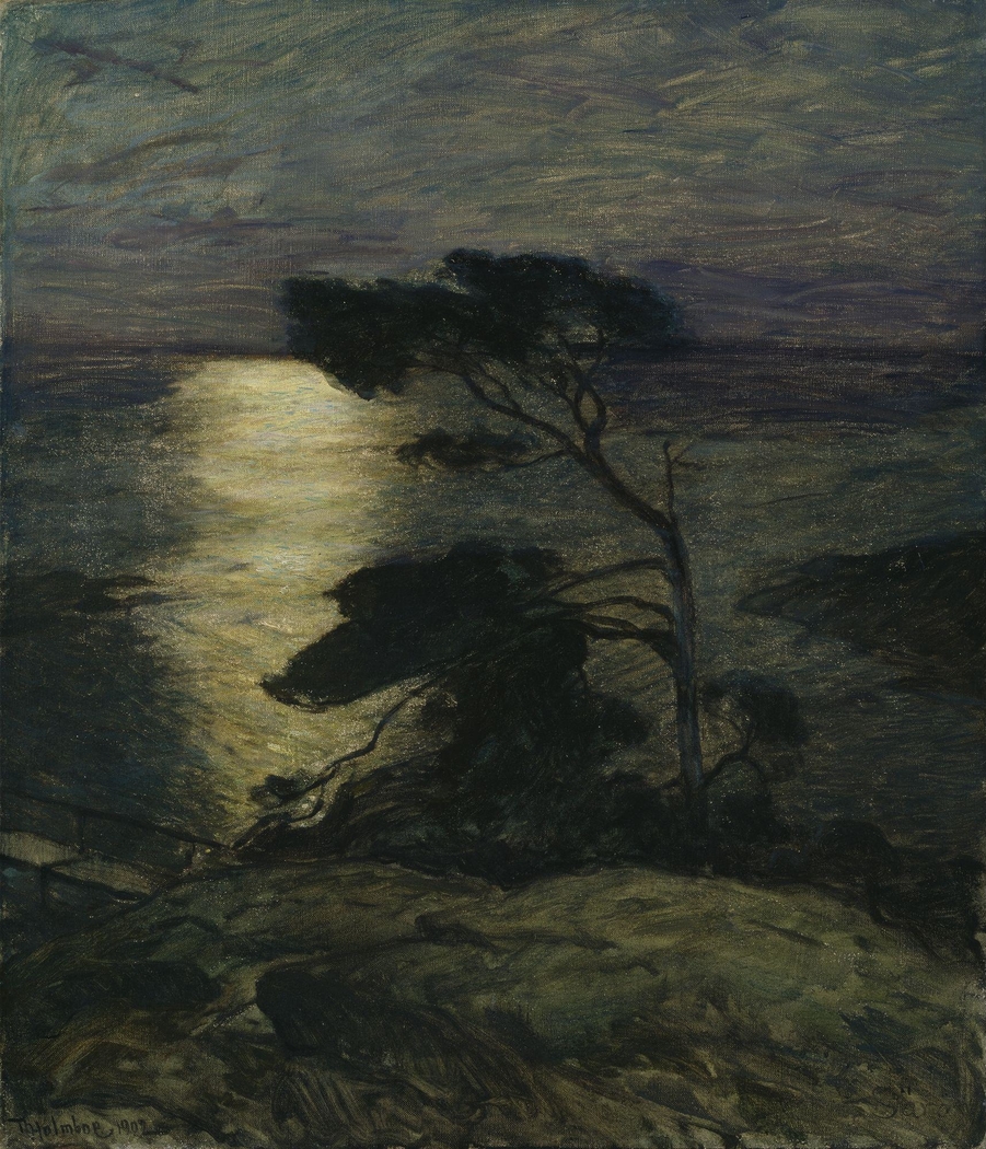 Pine Tree on the Coast in Moonlight