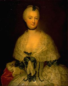 Portrait of a Lady by Anna Rosina de Gasc