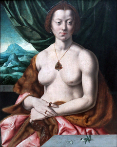 Portrait of a semi-nude woman by Bartholomaeus Bruyn the Elder