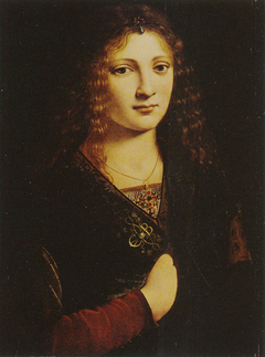 Portrait of a young man, possibly Girolamo Casio by Giovanni Antonio Boltraffio