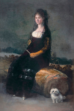 Portrait of Joaquina Candado Ricarte by Francisco Goya