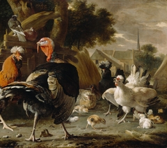 Poultry Yard