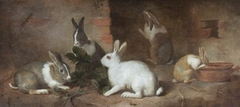 Rabbits Feeding by Anonymous
