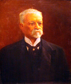 Retrato do presidente Afonso Pena by Rodolfo Amoedo