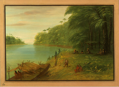 Shore of the Essequibo by George Catlin