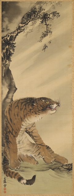 Sitting Tiger Roaring with the Wind