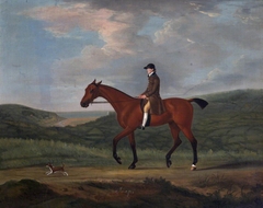 'Snap', a Bay Horse and a Little Dog