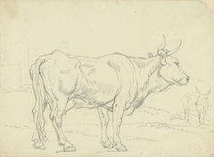 Staande koe, van opzij gezien, naar rechts by Hendrik Voogd