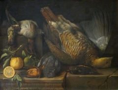 Still Life with Dead Birds by Pierre Dupuis