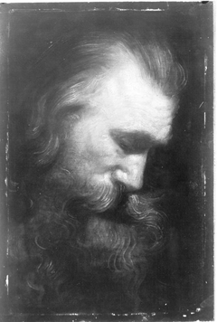 Studienkopf eines Apostels (Schule) by Peter Paul Rubens