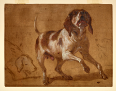 Study of a Hound Baying by Jean-Baptiste Oudry