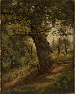 Study of a tree by Wilhelm Peter Bayer