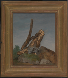 Study of Rocks and Branche by George Augustus Wallis