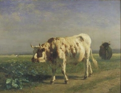 The white bull by Constant Troyon