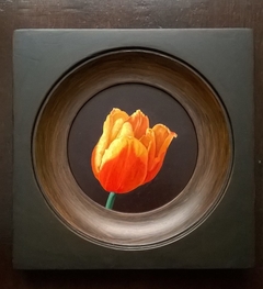 Tulip miniature by Gianrico Gualtieri