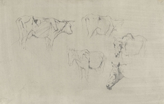 Twee studies van een koe en drie van een paard by Albert Gerard Bilders