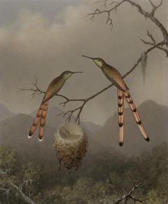 Two Hummingbirds with Their Young by Martin Johnson Heade