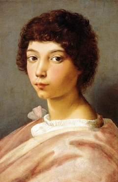 Portrait of a young Man by Raphael