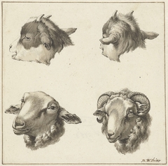 Vier koppen van bokken en schapen by Barend Hendrik Thier
