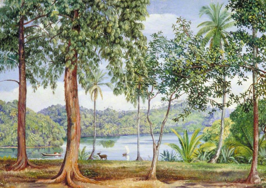 View from Kalutara, Ceylon