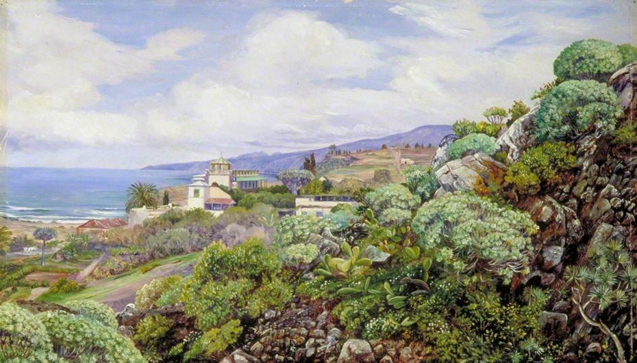 View of Sitio del Pardo, Orotava, Teneriffe