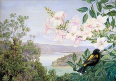 View on the Kowie River with Trumpet Flower in Front