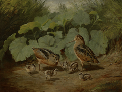 Woodcock and Young by Arthur Fitzwilliam Tait