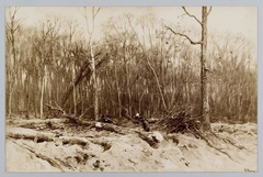 Woodcutters by Anton Mauve