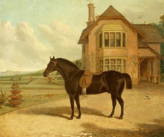 A Bay Roan in front of a House by Richard Whitford